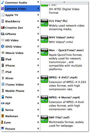 SWF to movie Mac output profile