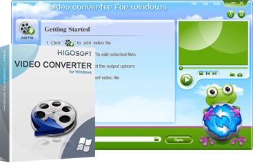 Higosoft Video Converter
